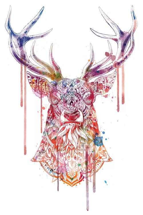 Ornate Buck In Color I