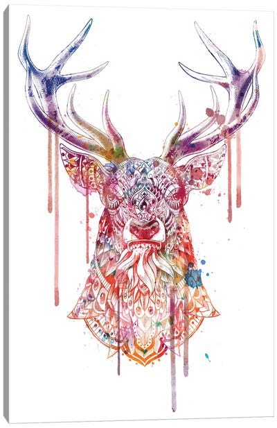 Ornate Buck In Color I Canvas Art Print - Bioworkz