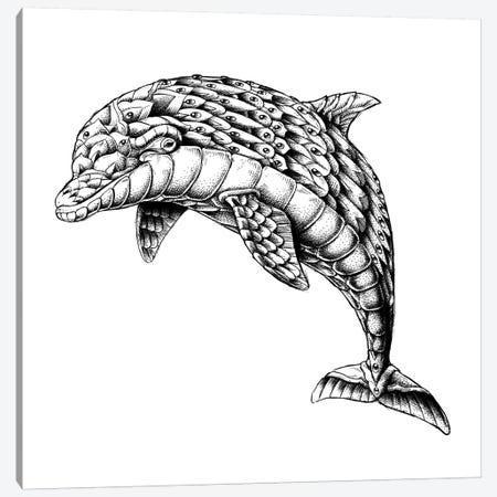 Ornate Dolphin Canvas Print #BWZ68} by Bioworkz Canvas Print