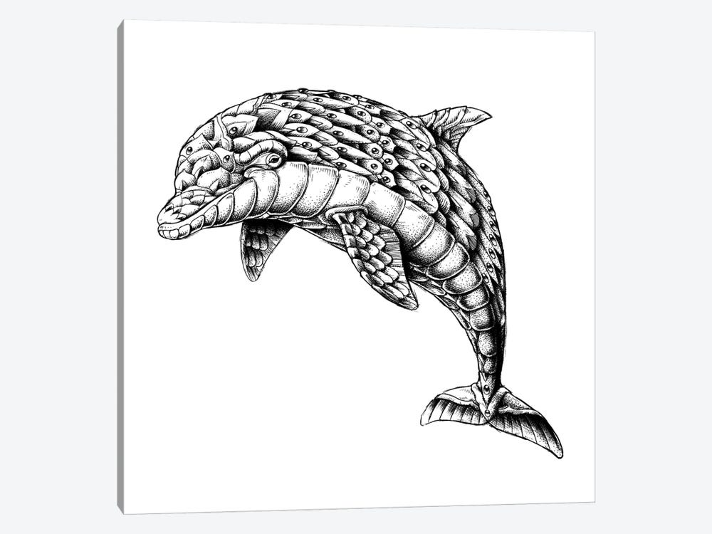 Ornate Dolphin by Bioworkz 1-piece Art Print