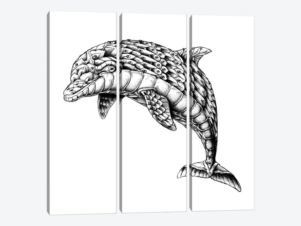 Ornate Dolphin by Bioworkz 3-piece Canvas Print
