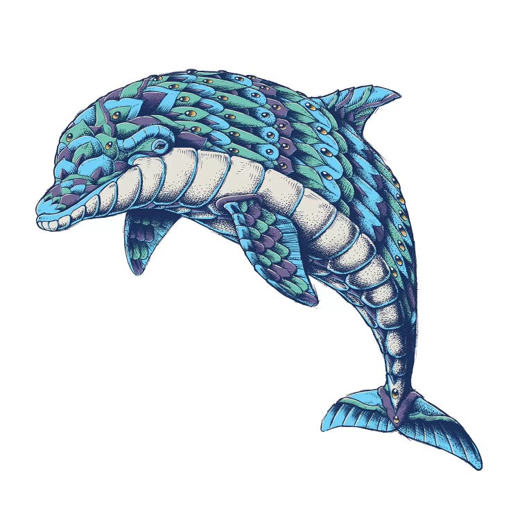 Ornate Dolphin In Color I