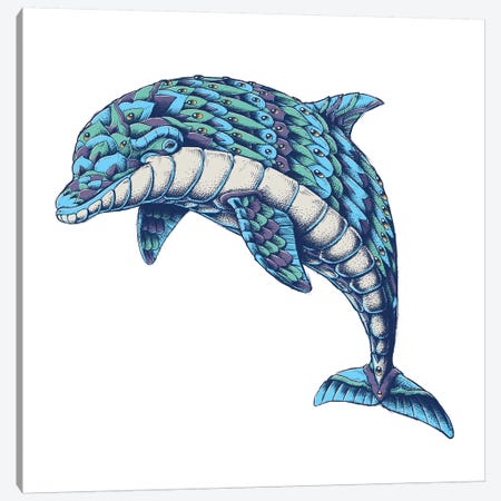 Ornate Dolphin In Color I Canvas Print #BWZ69} by Bioworkz Art Print