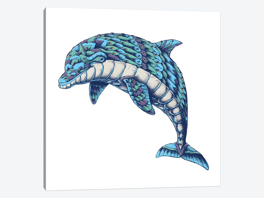 Ornate Dolphin In Color I by Bioworkz 1-piece Canvas Art