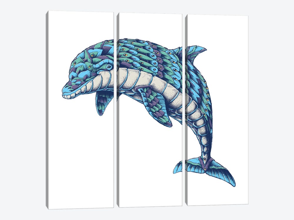 Ornate Dolphin In Color I by Bioworkz 3-piece Canvas Wall Art