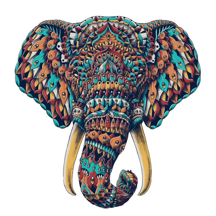 Ornate Elephant Head In Color I