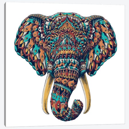 Ornate Elephant Head In Color I Canvas Print #BWZ70} by Bioworkz Canvas Wall Art