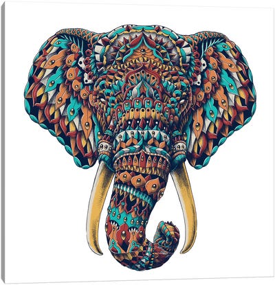 Ornate Elephant Head In Color I Canvas Art Print - Bioworkz
