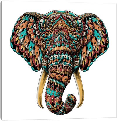 Ornate Elephant Head In Color II Canvas Art Print - Bioworkz
