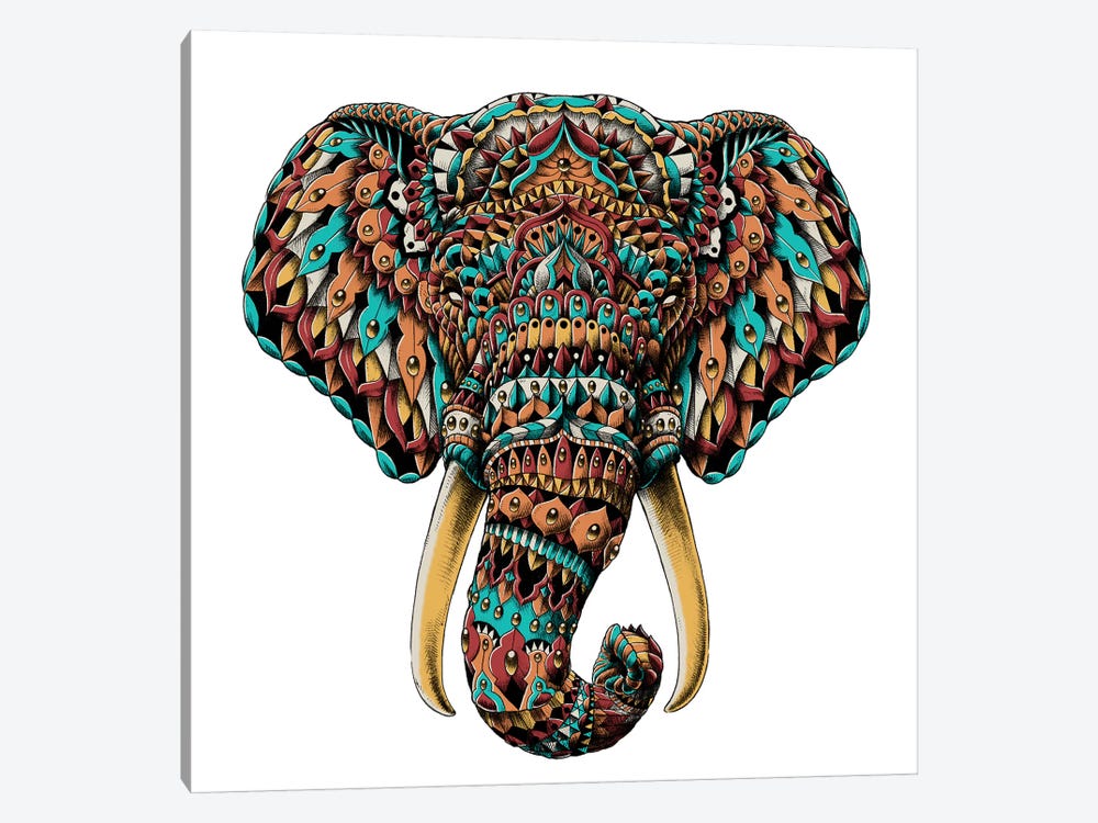 Ornate Elephant Head In Color II by Bioworkz 1-piece Art Print