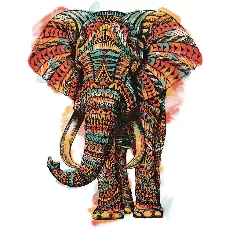 Ornate Elephant I In Color I