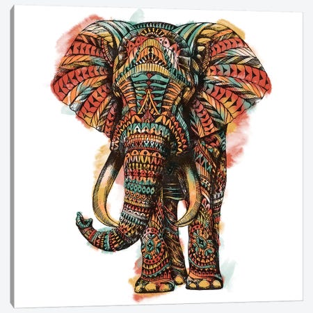 Ornate Elephant I In Color I Canvas Print #BWZ72} by Bioworkz Canvas Wall Art
