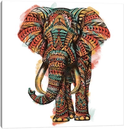 Ornate Elephant I In Color I Canvas Art Print - Bioworkz