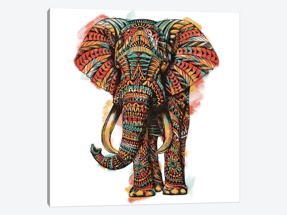 Ornate Elephant I In Color I by Bioworkz 1-piece Canvas Art