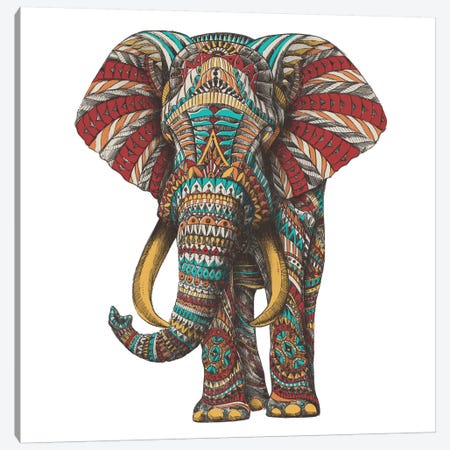 Ornate Elephant I In Color II Canvas Print #BWZ73} by Bioworkz Canvas Art