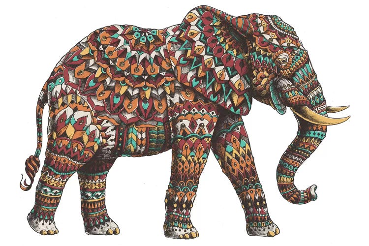 Ornate Elephant II In Color I