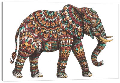 Ornate Elephant II In Color I Canvas Art Print - Bioworkz
