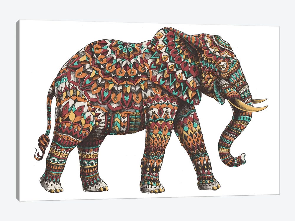 Ornate Elephant II In Color I by Bioworkz 1-piece Canvas Wall Art