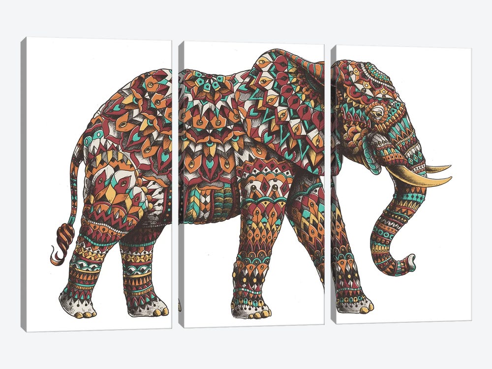 Ornate Elephant II In Color I by Bioworkz 3-piece Canvas Wall Art