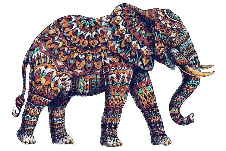 Ornate Elephant II In Color II by Bioworkz wall art