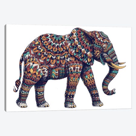 Ornate Elephant II In Color II Canvas Print #BWZ75} by Bioworkz Canvas Art Print