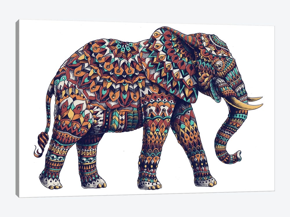 Ornate Elephant II In Color II by Bioworkz 1-piece Art Print