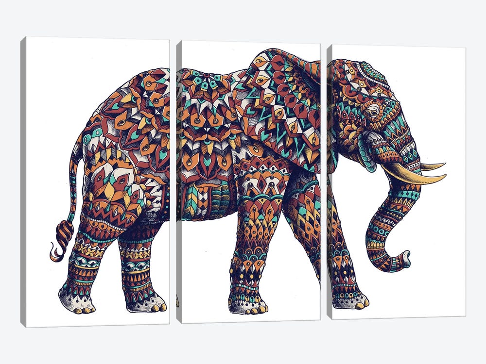 Ornate Elephant II In Color II by Bioworkz 3-piece Canvas Print
