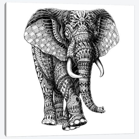 Ornate Elephant III Canvas Print #BWZ76} by Bioworkz Canvas Print
