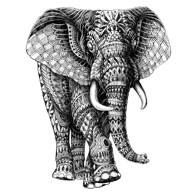 Ornate Elephant III