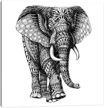 Ornate Elephant III Canvas Art Print - Bioworkz