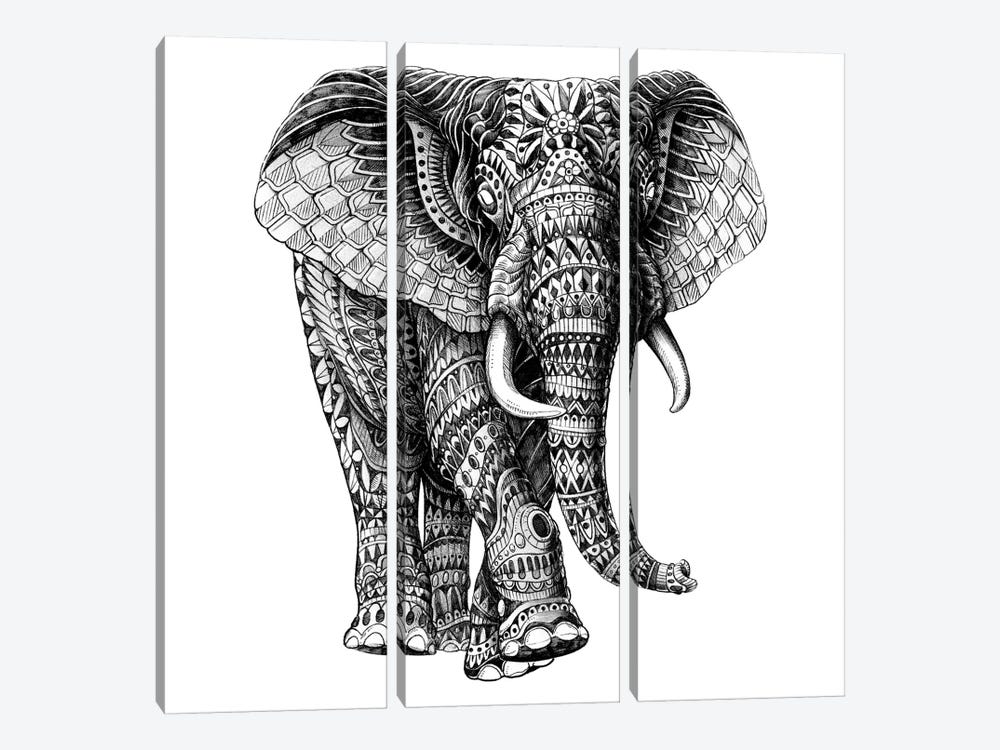 Ornate Elephant III by Bioworkz 3-piece Canvas Artwork