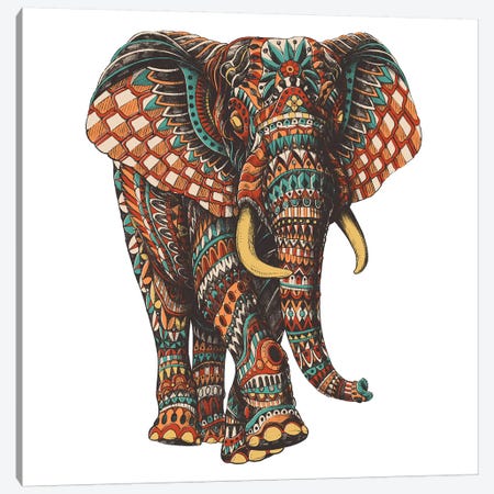 Ornate Elephant III In Color I Canvas Print #BWZ77} by Bioworkz Art Print