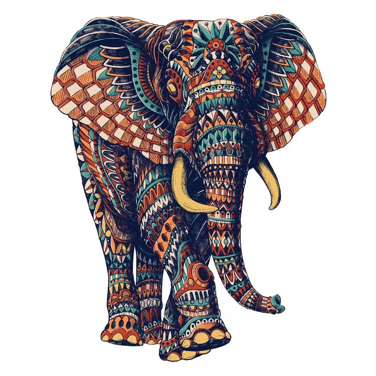 Ornate Elephant III In Color II