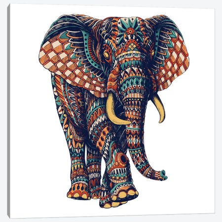 Ornate Elephant III In Color II Canvas Print #BWZ78} by Bioworkz Canvas Art