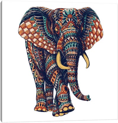 Ornate Elephant III In Color II Canvas Art Print - Bioworkz