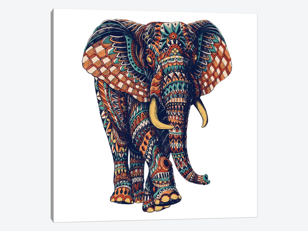 Ornate Elephant III In Color II by Bioworkz 1-piece Canvas Wall Art