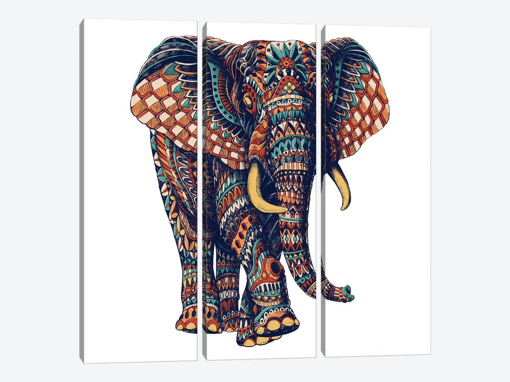 Ornate Elephant III In Color II by Bioworkz 3-piece Canvas Wall Art