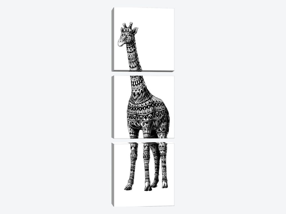 Ornate Giraffe by Bioworkz 3-piece Canvas Print