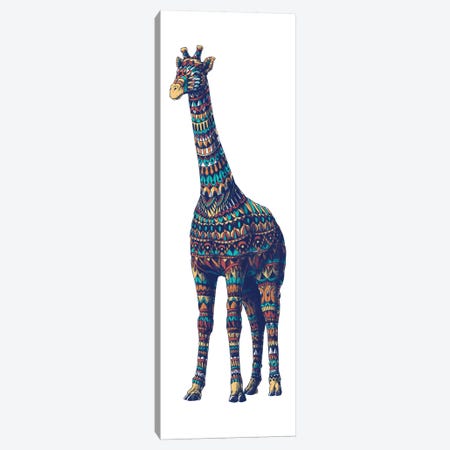 Ornate Giraffe In Color I Canvas Print #BWZ80} by Bioworkz Art Print