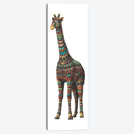 Ornate Giraffe In Color II Canvas Print #BWZ81} by Bioworkz Canvas Print