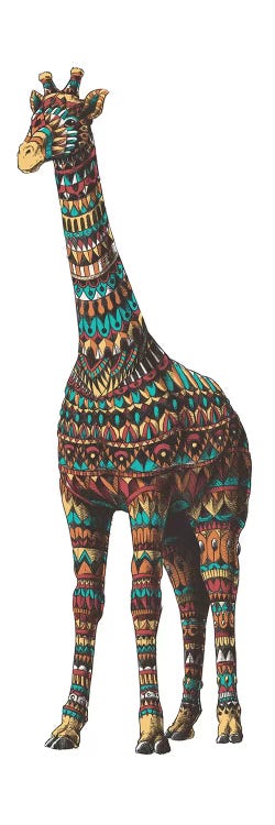 Ornate Giraffe In Color II by Bioworkz wall art