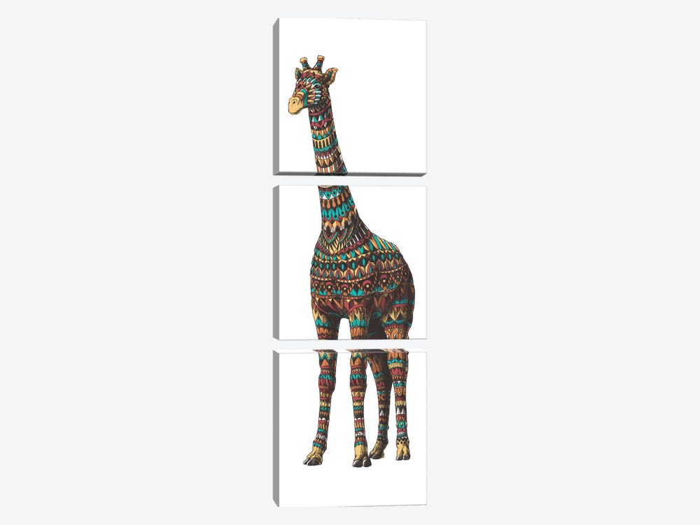 Ornate Giraffe In Color II by Bioworkz 3-piece Canvas Art