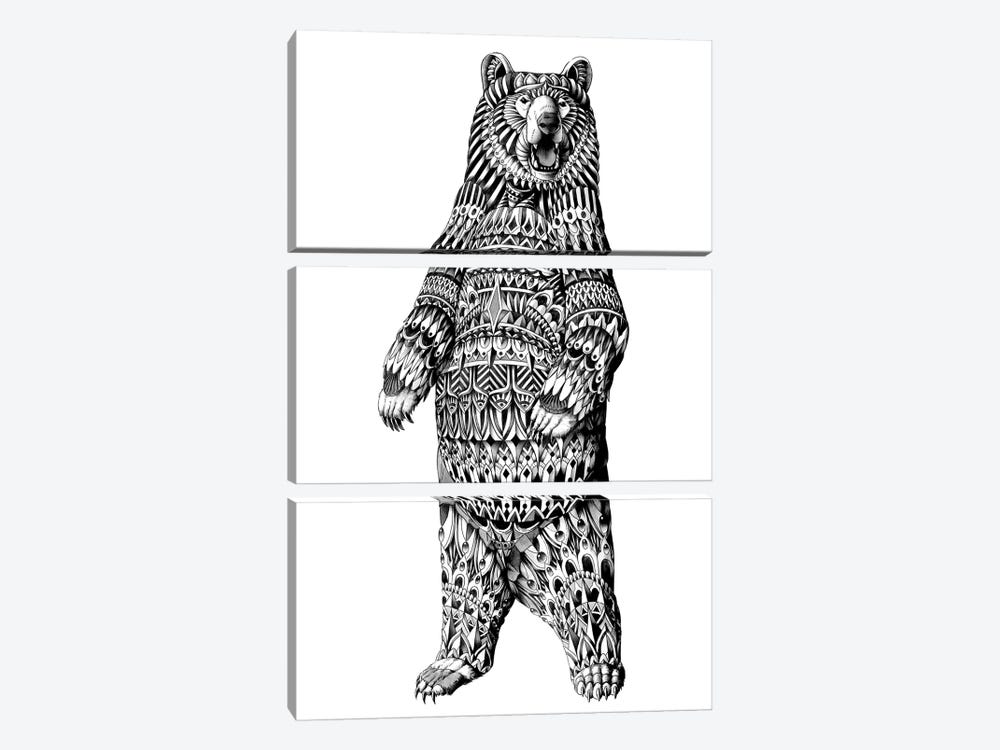 Ornate Grizzly Bear by Bioworkz 3-piece Canvas Art Print