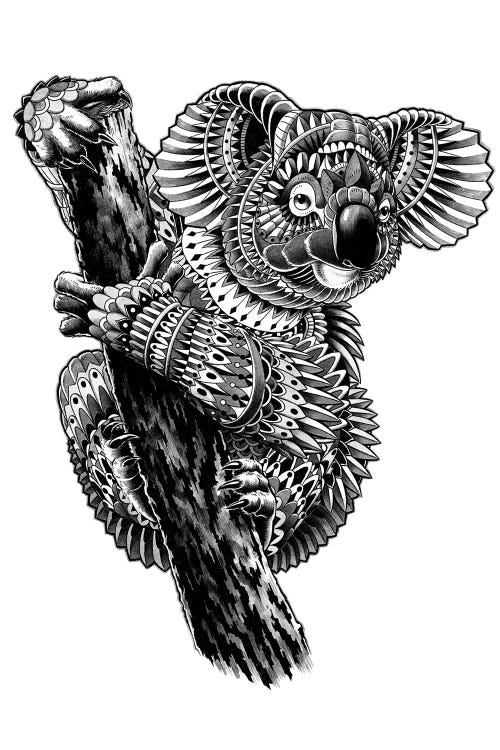 Ornate Koala by Bioworkz wall art