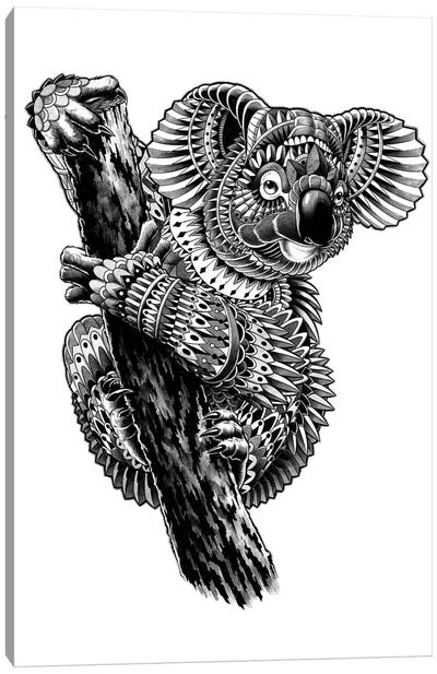 Ornate Koala Canvas Art Print - Bioworkz