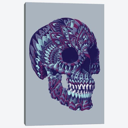 Ornate Skull In Color IV Canvas Print #BWZ93} by Bioworkz Canvas Art