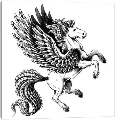 Pegasus Canvas Art Print - Pegasus Art