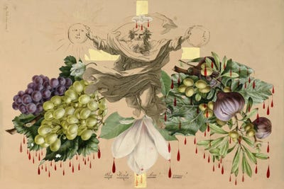 Blood Collage XII by John Bingley Garland canvas print