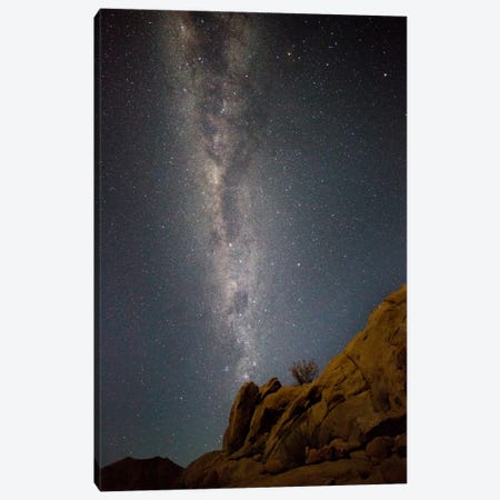 Milky Way Galaxy As Seen From Richtersveld, North Cape, South Africa Canvas Print #BYO1} by Bill Young Canvas Art