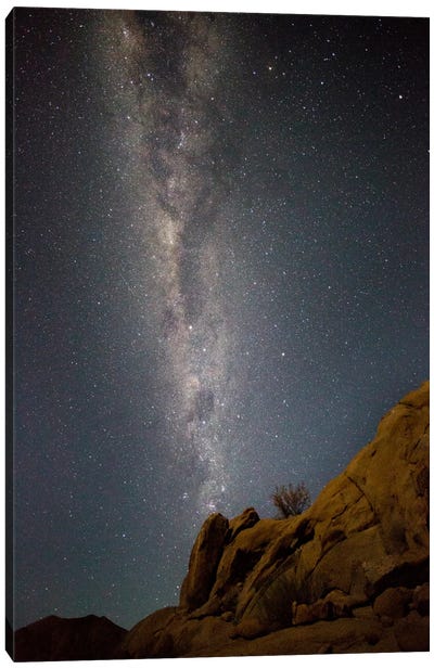 Milky Way Galaxy As Seen From Richtersveld, North Cape, South Africa Canvas Art Print